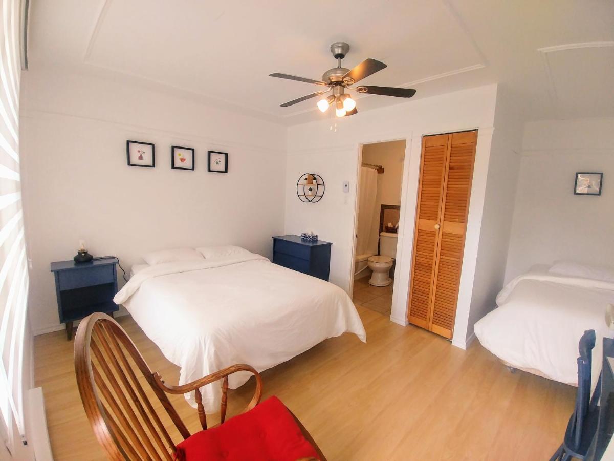 Les Petits Studios Du Bord De L'Eau Saint-Joseph-de-la-Rive Ngoại thất bức ảnh