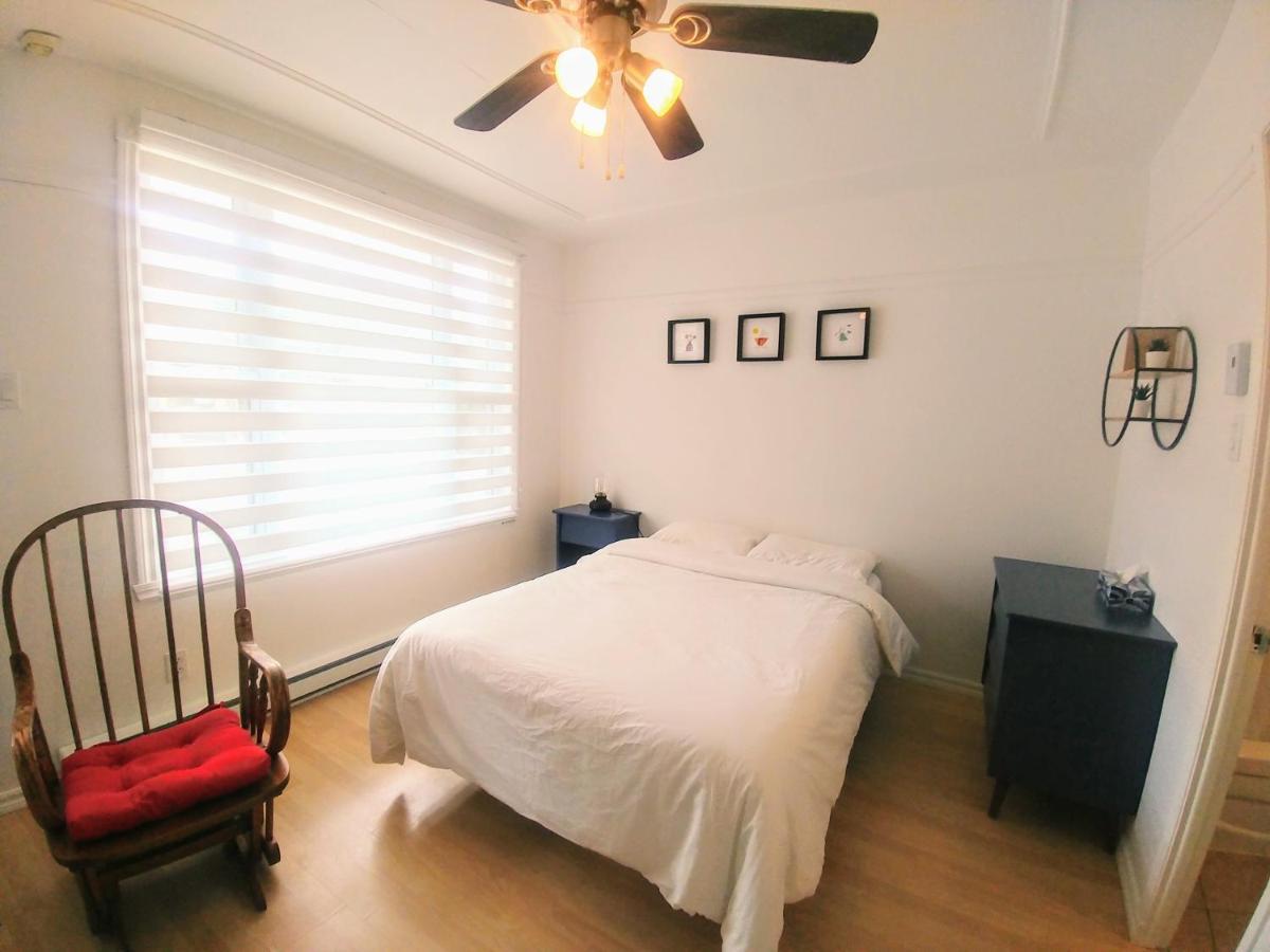 Les Petits Studios Du Bord De L'Eau Saint-Joseph-de-la-Rive Ngoại thất bức ảnh